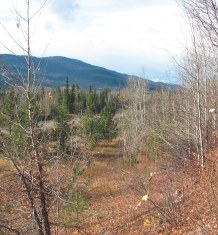 BC Land for Sale