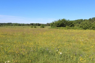 hunting land for sale in Nipissing Ontario